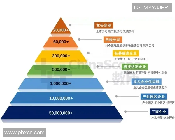 重庆篮球队比赛经验分析与表现评估的深度研究与探讨 重庆篮球队比赛经验分析与表现评估的深度研究与探讨
